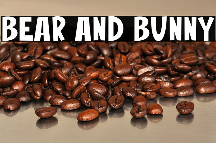 Bear And Bunny Example 3