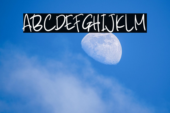 Bear Butter Example 3