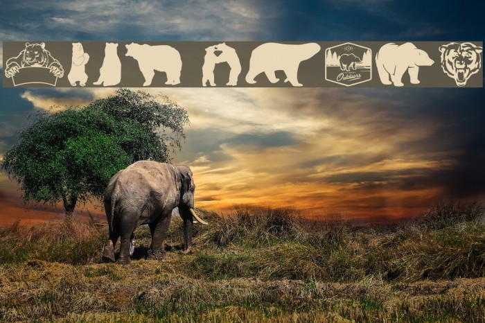 Bear Icons Example 2