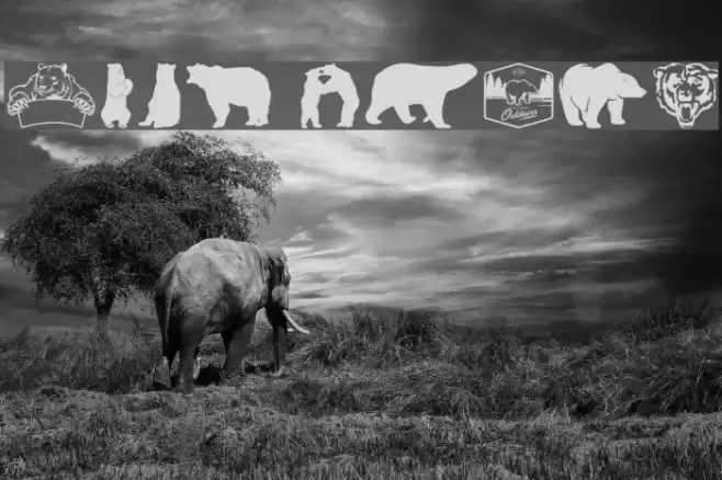 Bear Icons Font examples