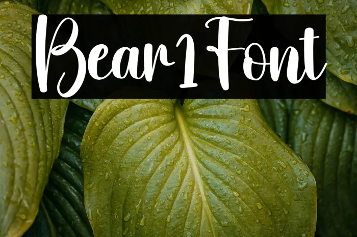 Bear1 Example 2