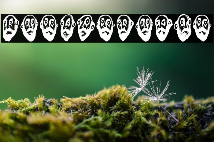 Beard Man Regular Example 1