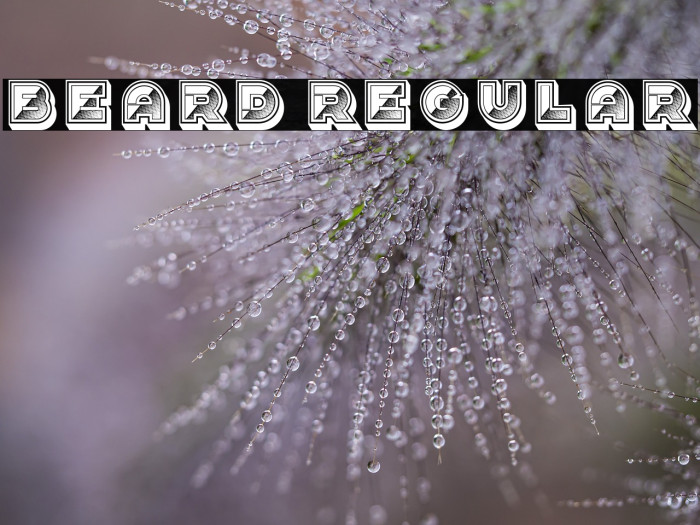 Beard Regular Example 1