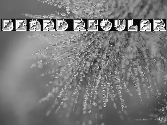 Beard Regular Font examples