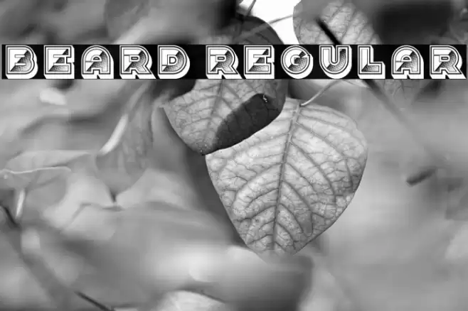 Beard Regular Font examples