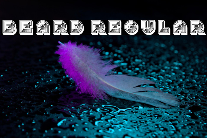 Beard Regular Example 3