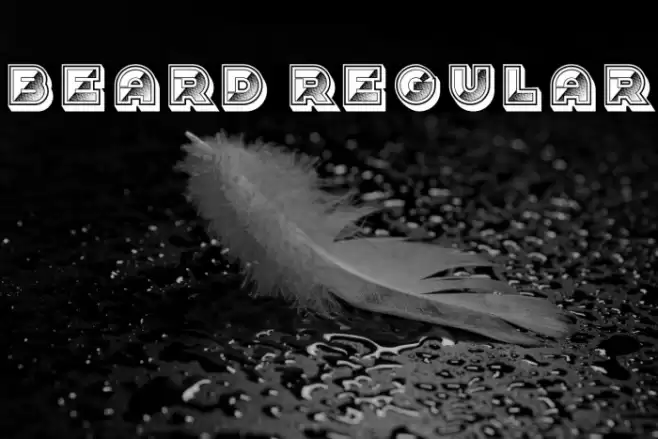 Beard Regular Font examples