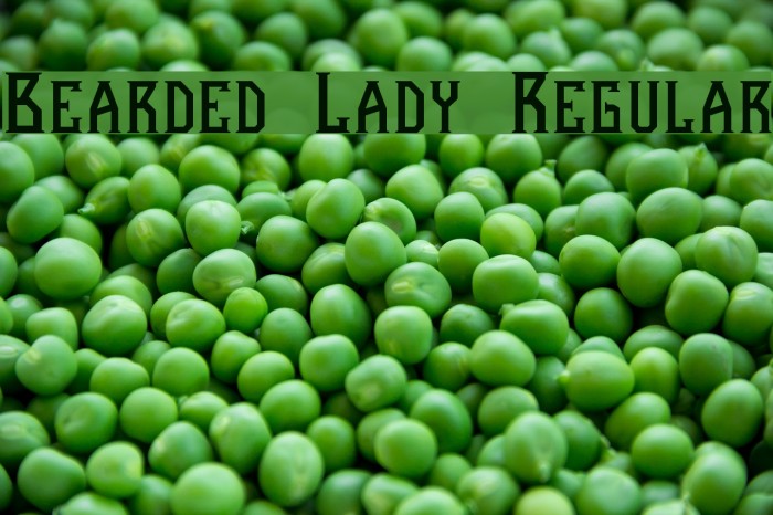 Bearded Lady Regular Font examples