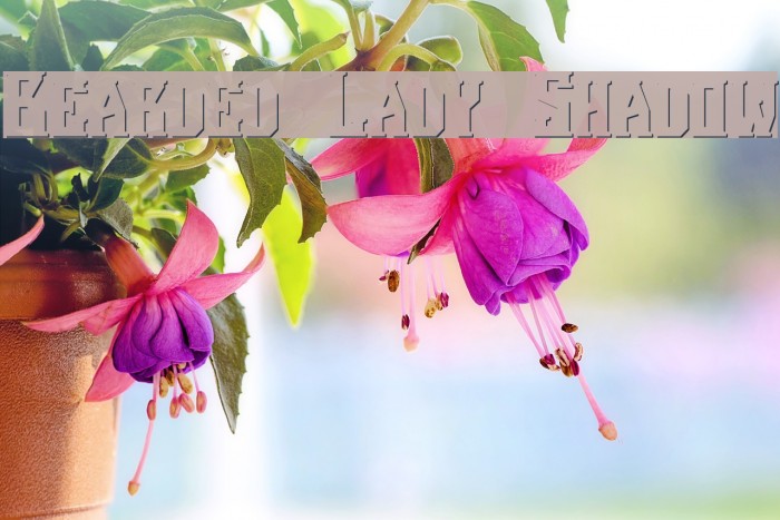 Bearded Lady Shadow Font examples