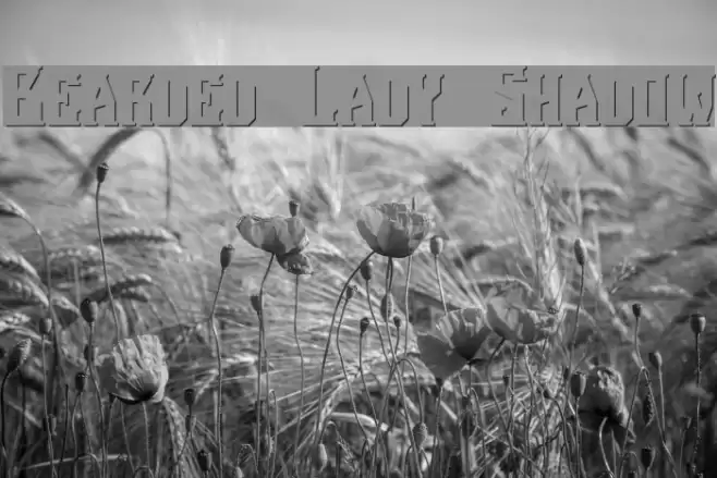Bearded Lady Shadow Font examples