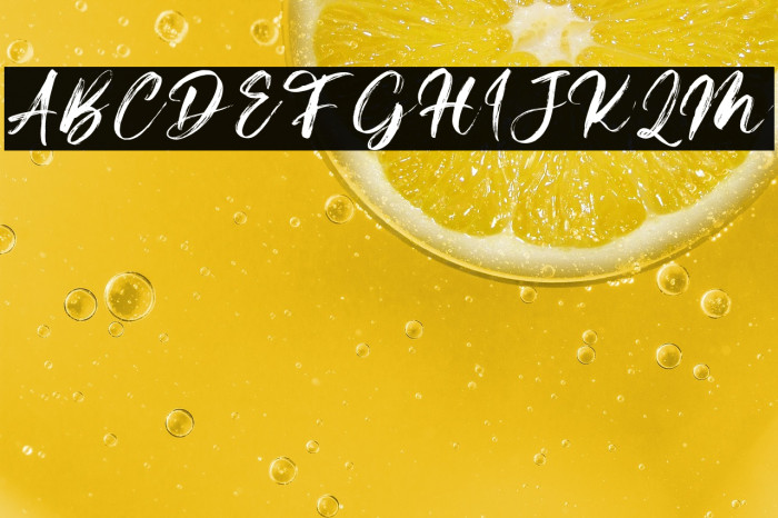 Beardies DEMO Example 2