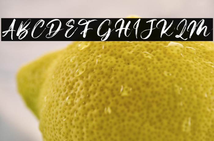 Beardies DEMO Example 3