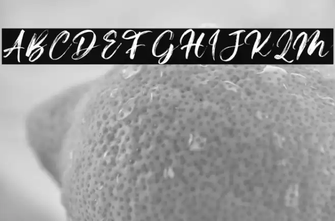 Beardies DEMO Font examples