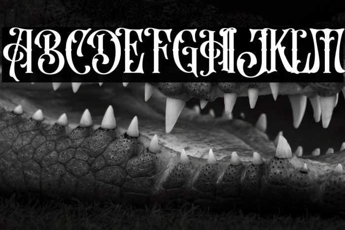 Beardsons Normal Example 3