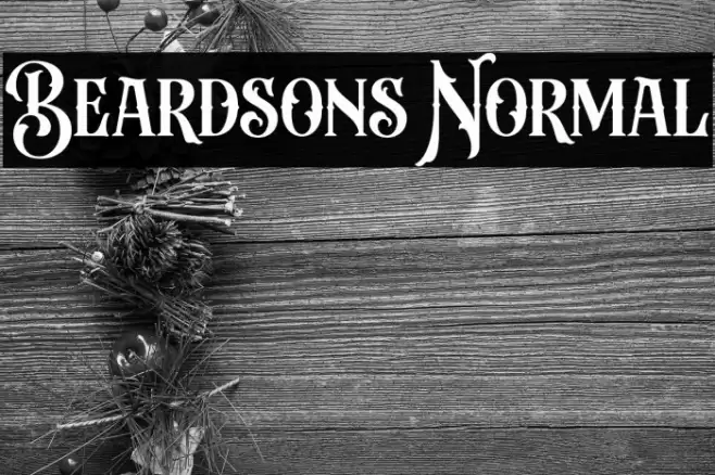 Beardsons Normal Font examples