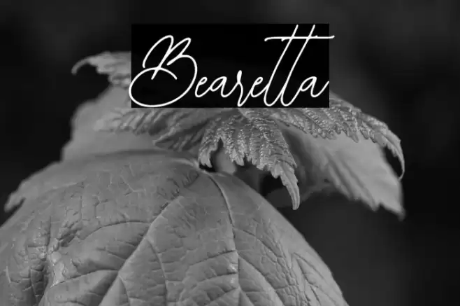 Bearetta Font examples