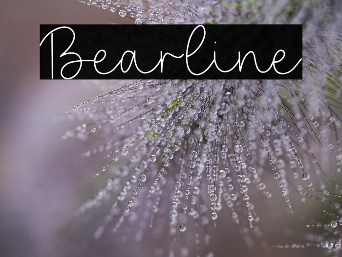 Bearline Example 1