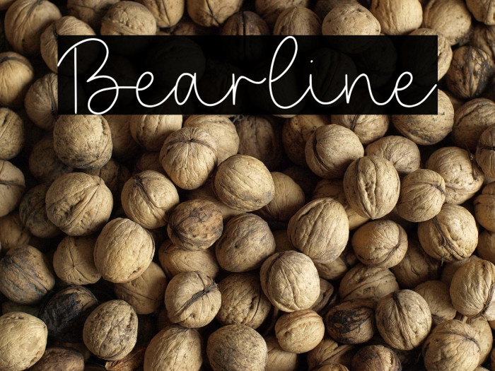 Bearline Example 3