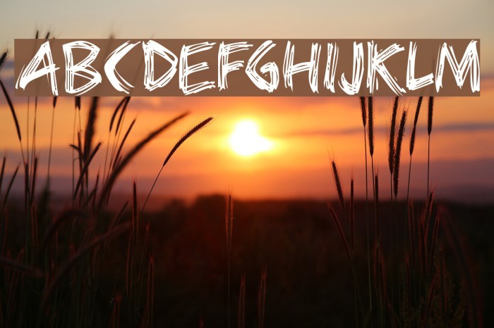 Bearpaw Font examples