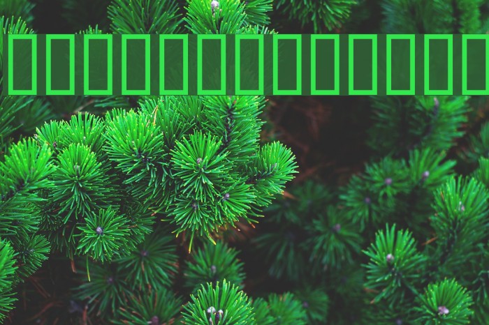 Beary Loveable Font examples