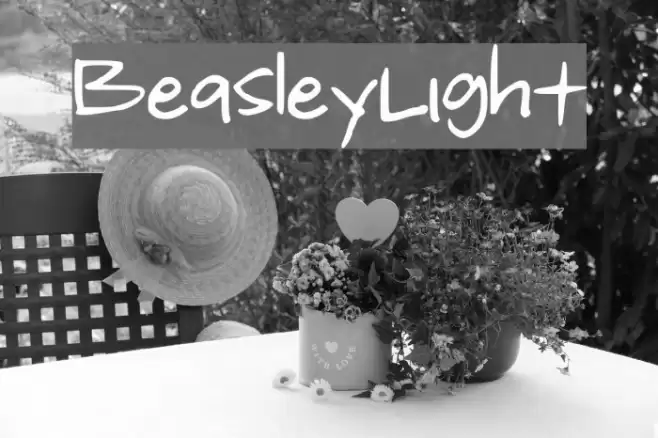 Beasley_Light Font examples