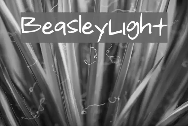 Beasley_Light Font examples