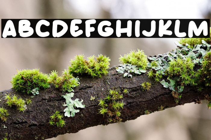 Beast Cake Example 1