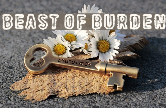 Beast Of Burden Font examples