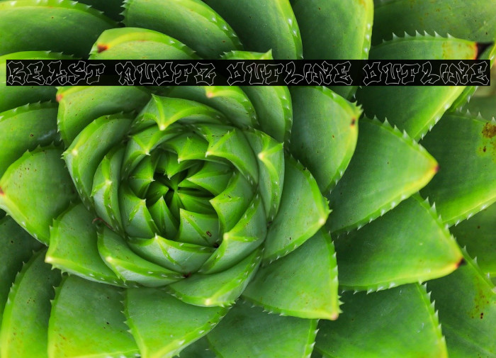 Beast Quotz Outline Outline Example 1