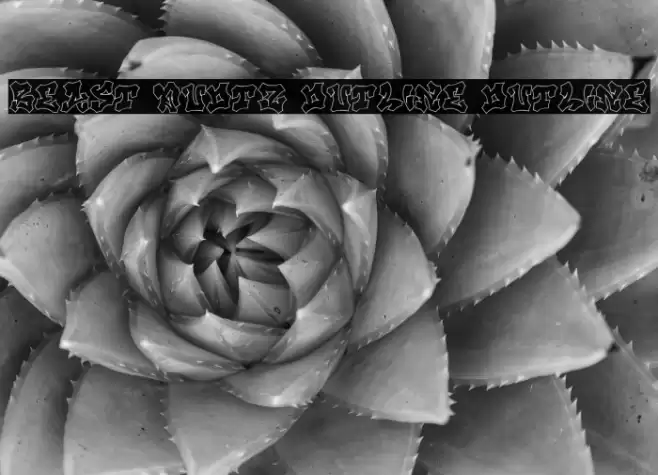 Beast Quotz Outline Outline Polices examples