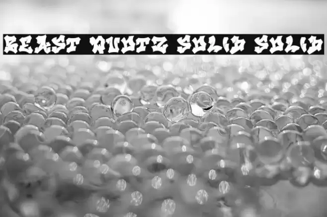 Beast Quotz Solid Solid Caratteri examples