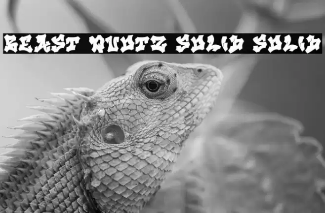 Beast Quotz Solid Solid Caratteri examples