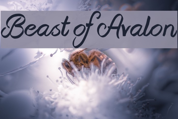 Beast of Avalon Font examples