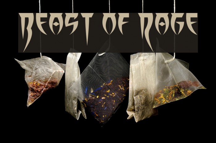 Beast of Rage Font examples