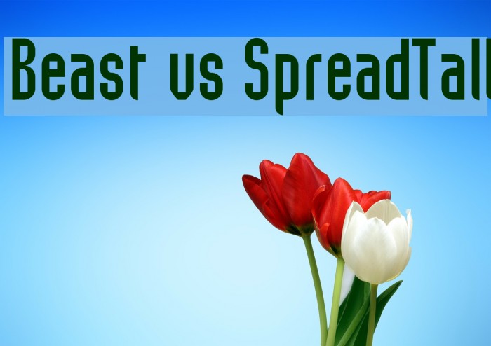 Beast vs SpreadTall Font examples