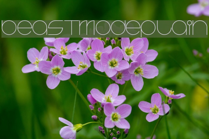 BeastModePlain Font examples
