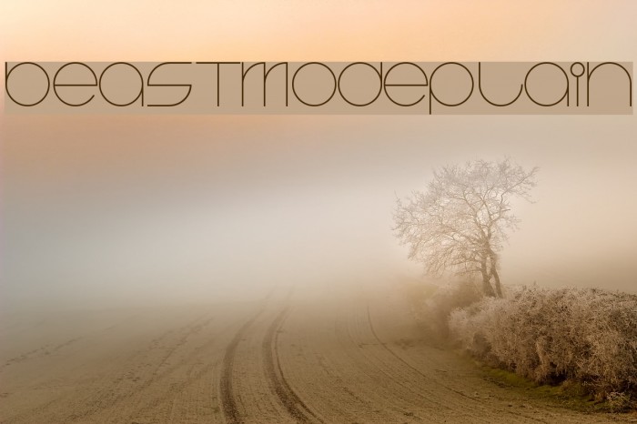 BeastModePlain Font examples