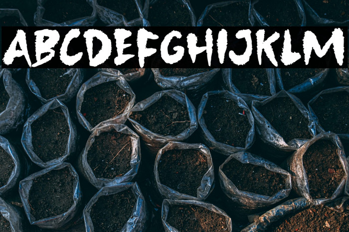 BeastPartyDemo Example 1