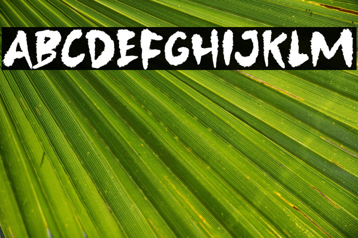 BeastPartyDemo Example 2