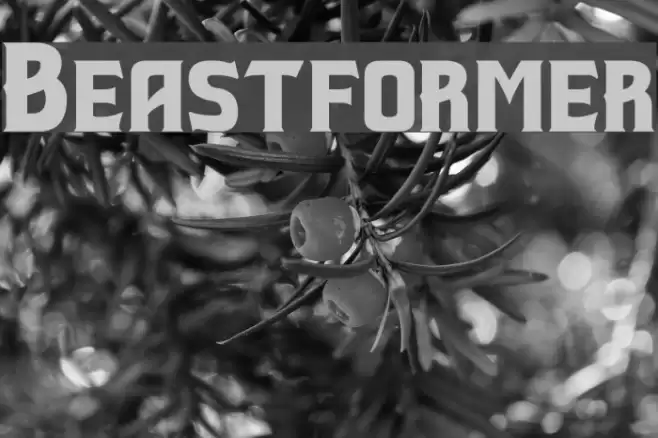 Beastformer Font examples