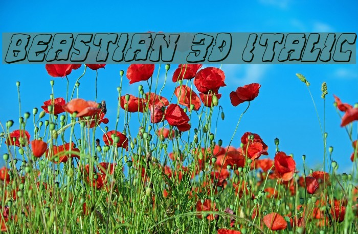 Beastian 3D Italic Font examples