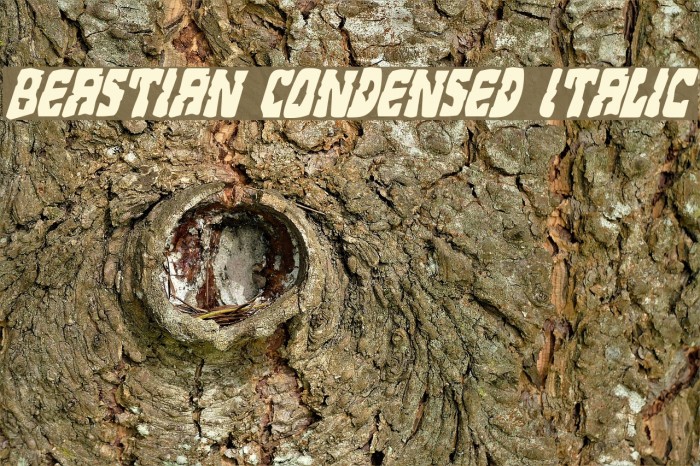 Beastian Condensed Italic Font examples