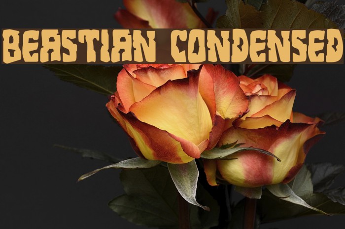 Beastian Condensed Font examples