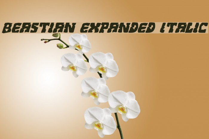 Beastian Expanded Italic Font examples