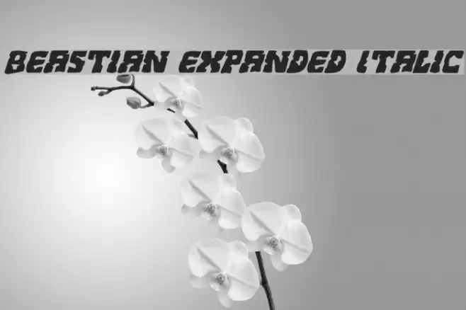 Beastian Expanded Italic Font examples