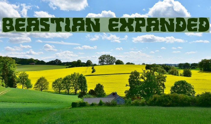 Beastian Expanded Font examples
