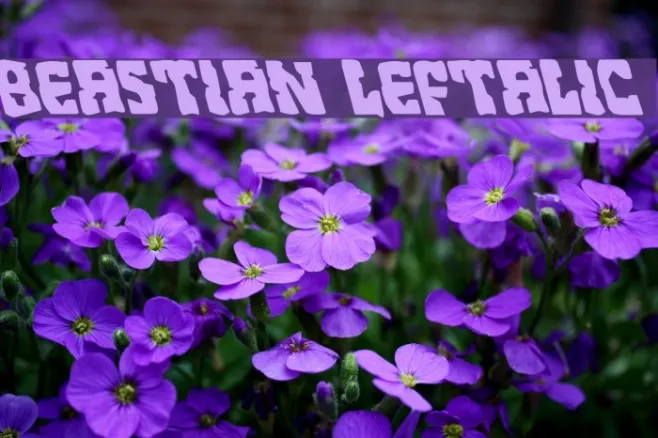 Beastian Leftalic Example 1