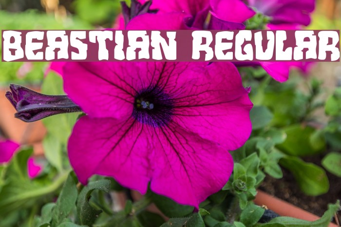 Beastian Regular Font examples