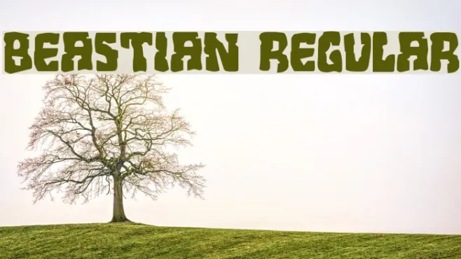 Beastian Regular Example 3