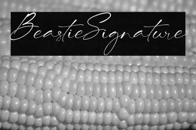 BeastieSignature examples